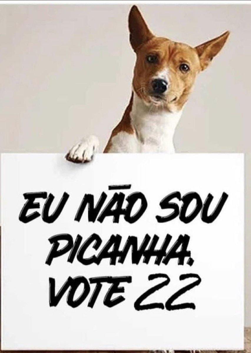 Quem gosta de cachorros e gatos deveria refletir. Na Venezuela, do amigo de Lula, eles estão em extinção!#SabatinaNaRecord