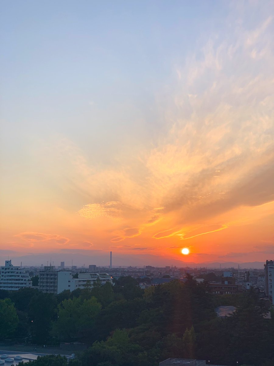 Jojozoey1's tweet photo. #beautifulseaseon
#comfortableweather
#autumnfall
#temperature
#twilight
#atomsmasher
#capitalcity
#Tokyo
#shinjyuku
#mtfuji
#黄昏
#爽やか
#東京カメラ部
💕✨✨✨✨✨✨🫰🌹 https://t.co/QoBiwgvyCA
