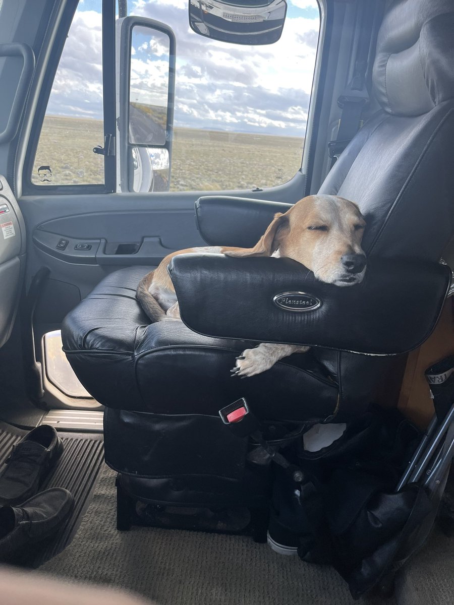 Maple isn’t sure what time zone we are in 🤷🏻‍♂️