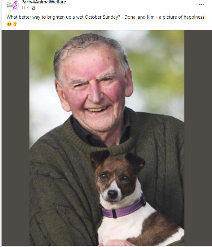AnimalPartyIE's tweet photo. What better way to brighten up a wet October Sunday? - Donal and Kim - a picture of happiness! ๐๐
#savekim https://t.co/d5xvXkNvAM