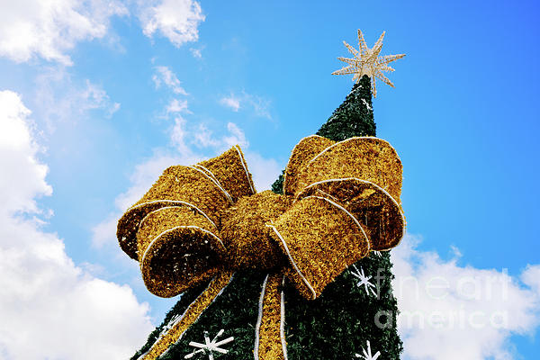 New artwork for sale! - "An artificial Christmas tree decorates a public square on a day " - fineartamerica.com/featured/an-ar… <a href="/fineartamerica/">Fine Art America</a>