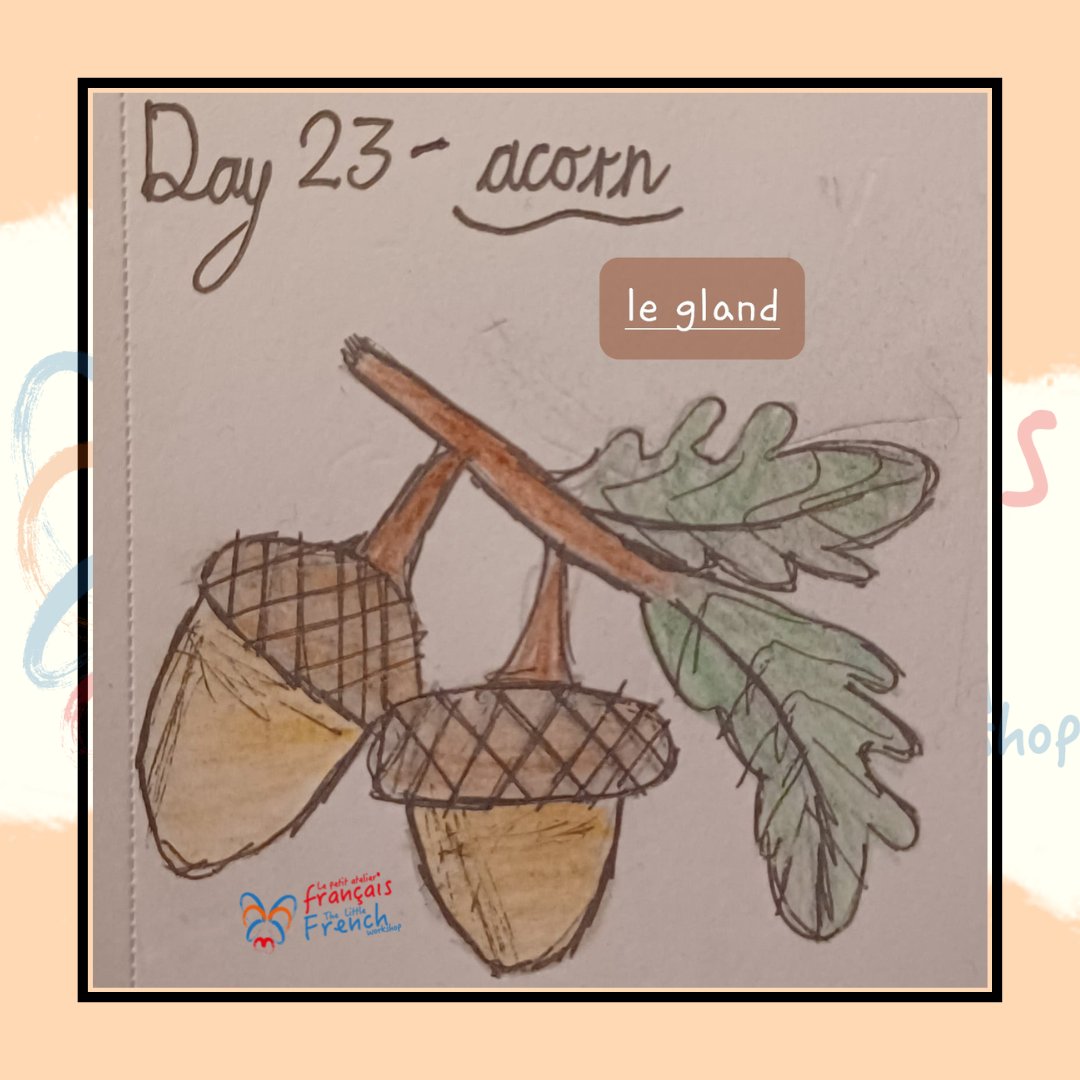LePafLiverpool's tweet photo. Le petit écureuil cache ses glands pour plus tard...

 #1jour1mot #dessiner #apprendre #inktober2022 https://t.co/t94NWhLMFo