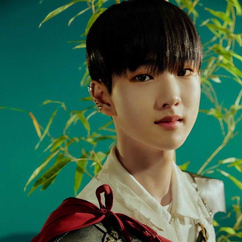 Fear their debut I guess — Daniel, Minhyung, Yejun