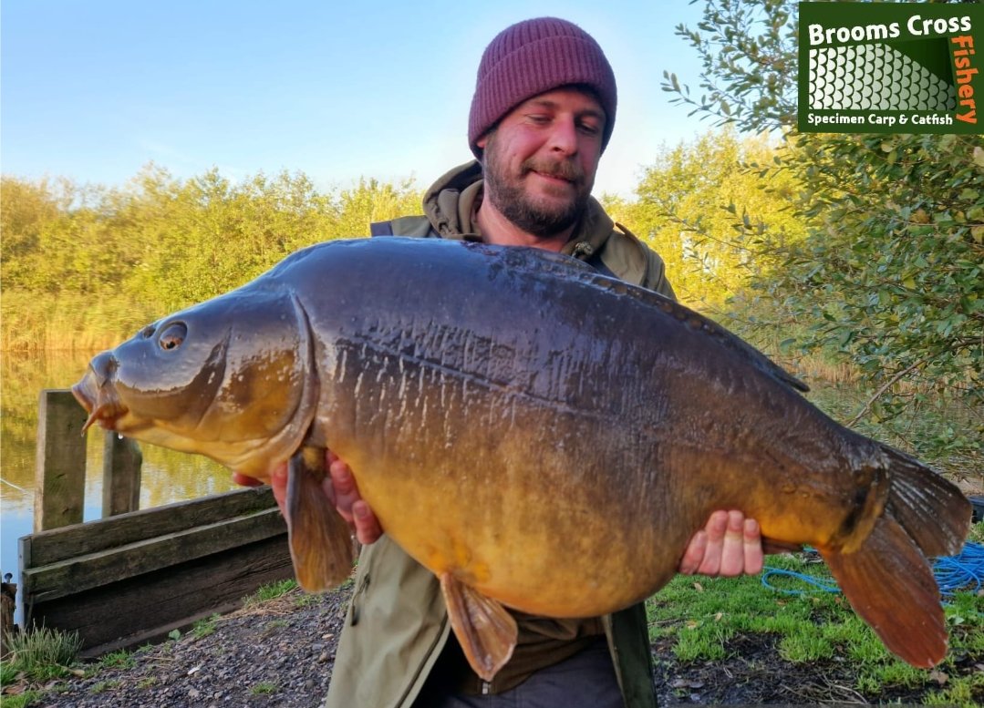 **NEW LAKE RECORD**
Here it is..  the new Upper Alt lake record...
Jake Sanderson with Big Deal at 38lb on the button!.
How awesome is this ??
07740082025 for all bookings and peg availability