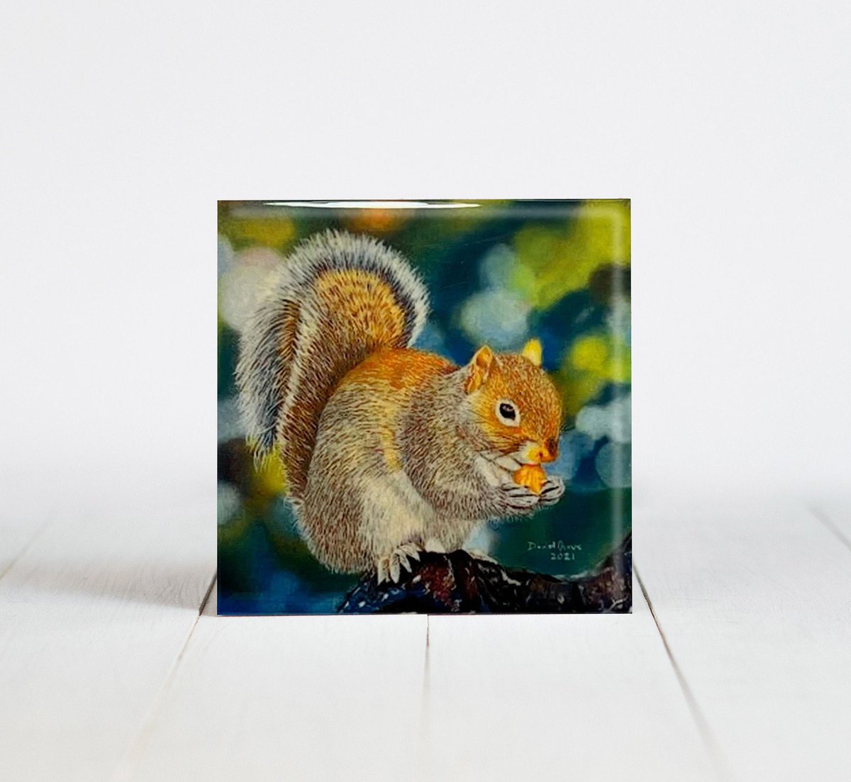 NevueArt's tweet photo. Squirrel Ceramic Coaster Set | 4 Ceramic Coasters  #squirrelart #squirrelprint #squirrelcoasters https://t.co/lGHHUnhRdu https://t.co/gSpyWoTzMK