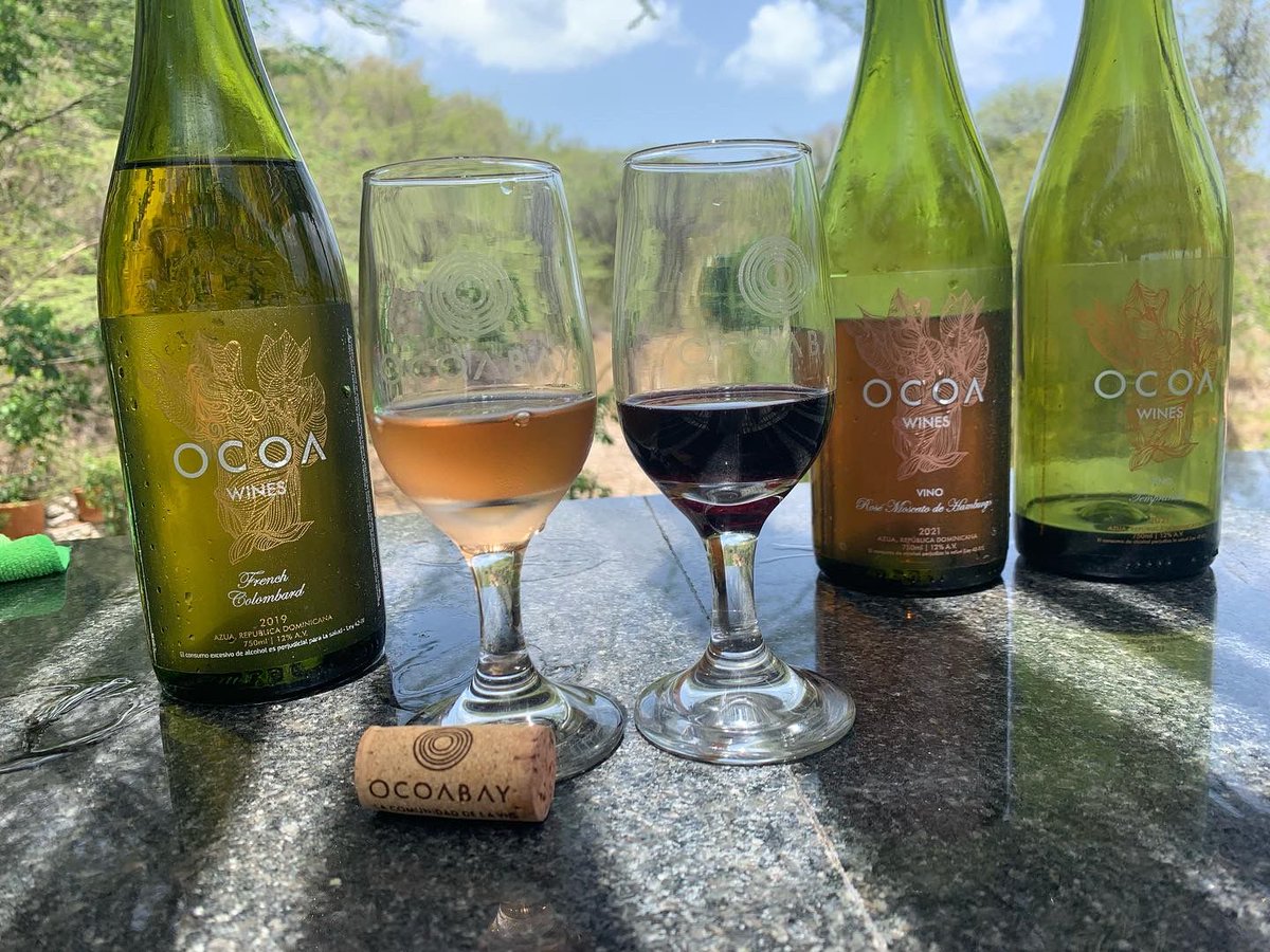 Sólo 4 variedades de uva son aptas para crecer en el microclima de la región de Azua. 

Somos el primer viñedo del Caribe, orgullosos de ser dominicanos 🇩🇴🍷