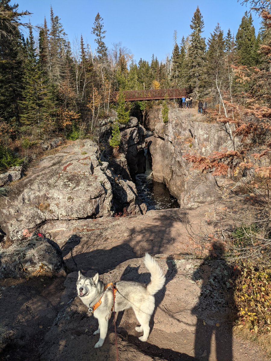 paws2trail's tweet photo. Back to civilization for the day and took a quick hike at Temperance River SP to keep the pups happy. The river cuts deep and narrow chasms in the rock before flowing into Superior. https://t.co/C3ym31gjTE