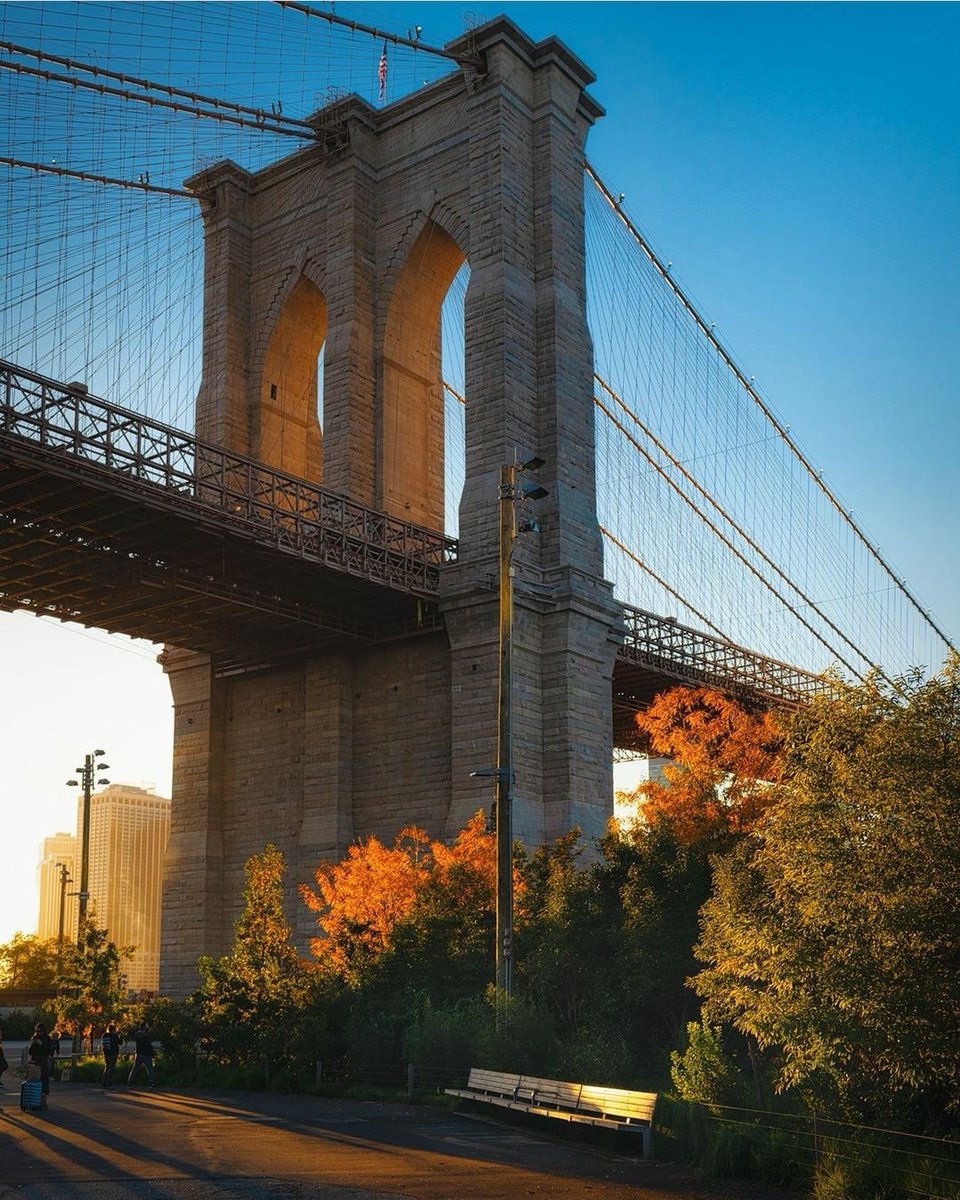 NYC Travel Tips tweet media