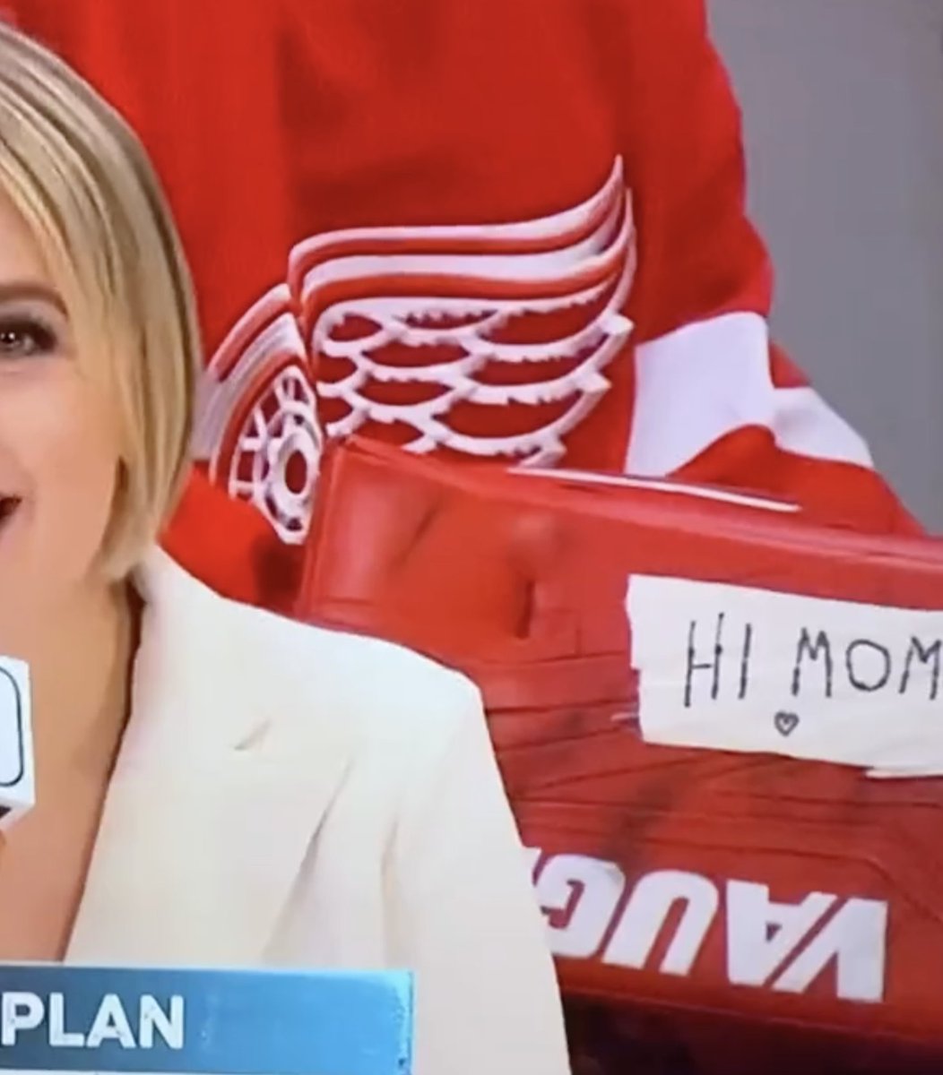 DetroitRedWings's tweet photo. 👋 Ned's mom. https://t.co/7CMNBJ65uw