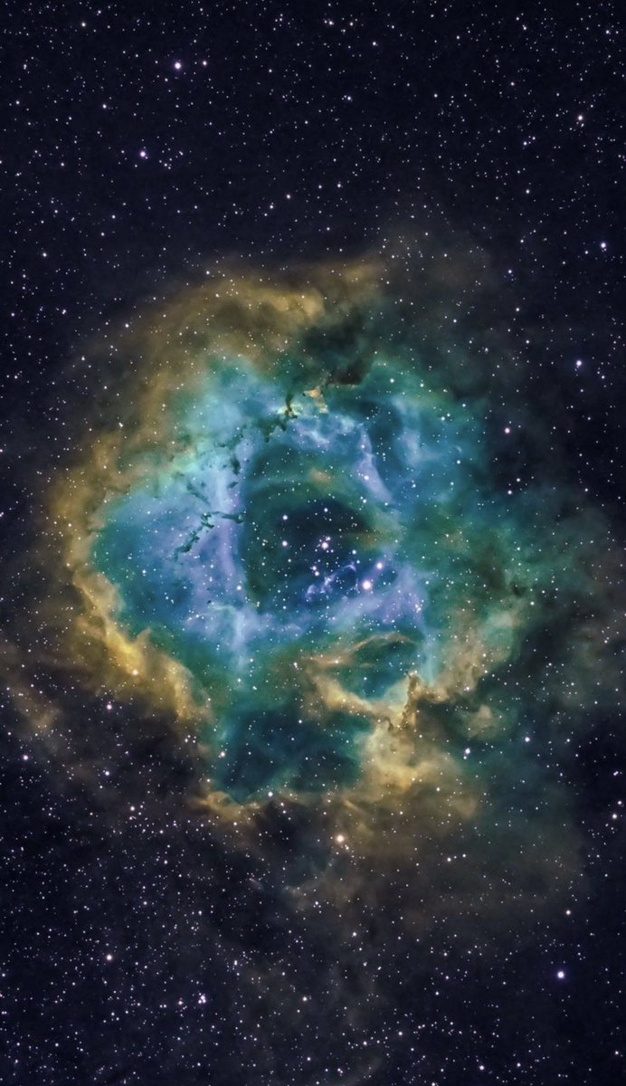 spacembraced's tweet photo. Beautiful photo of NGC2244 Rosette Nebula in Monoceros!! 
By: @maiz_julio 
#nebula #Astrophotography #ASTRO #astrostuffs #space #green 
#saturn #northpole #Astros #Astrophotography #space https://t.co/i082rBP3MV