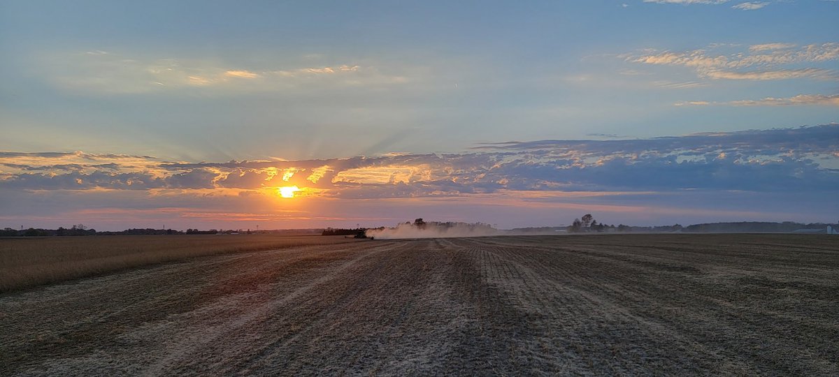 That sunset was beautiful tonight! And the Plenish beans are doing great too! <a href="/PioneerSeeds/">Pioneer Seeds U.S.</a> #harvest22 #plenish #beautifulsunsets