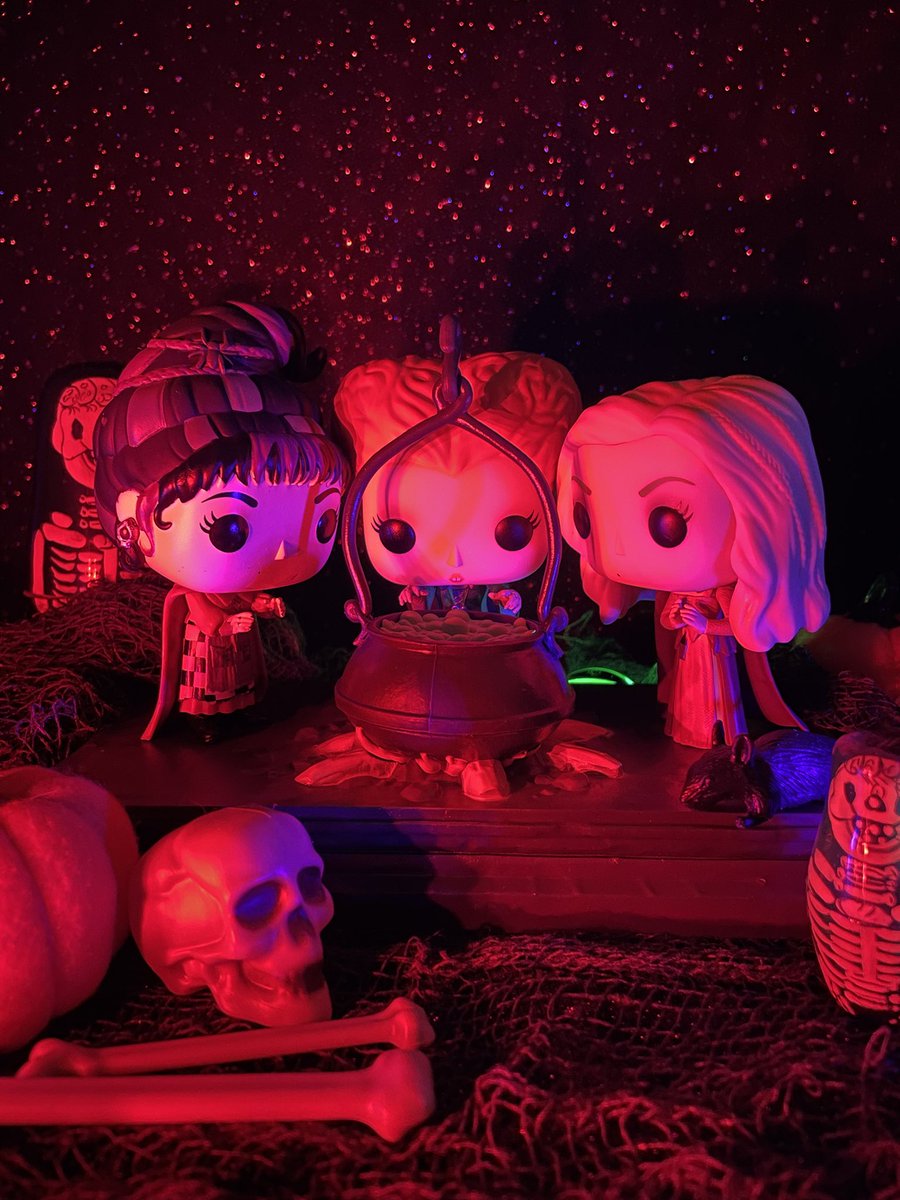 Littlebird_db's tweet photo. Trick #hocuspocus @funko #funkophotoadaychallenge #funkophotoaday #funkophotography
#funko #funkofamily #fotw #myfunkostory #disney #disneyhocuspocus https://t.co/Ephn00qMq8