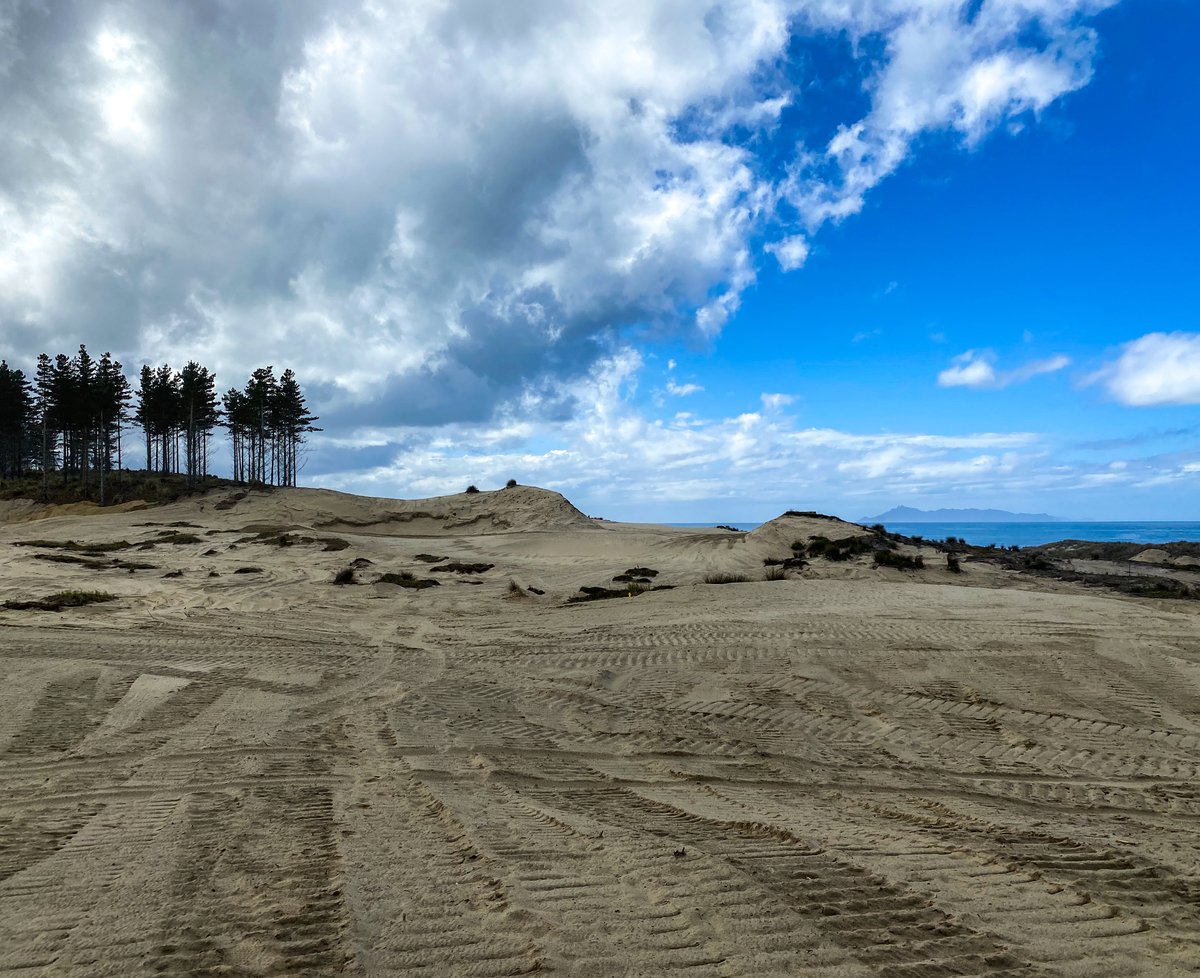 RileyJohnsGolf's tweet image. Congratulations to Coore &amp;amp; Crenshaw and Te Arai Links for opening up for play earlier this month. Such a special property and project. Here is a before and after sequence of the 6th hole being created, one of my favorite holes on the course. @billandbengolf