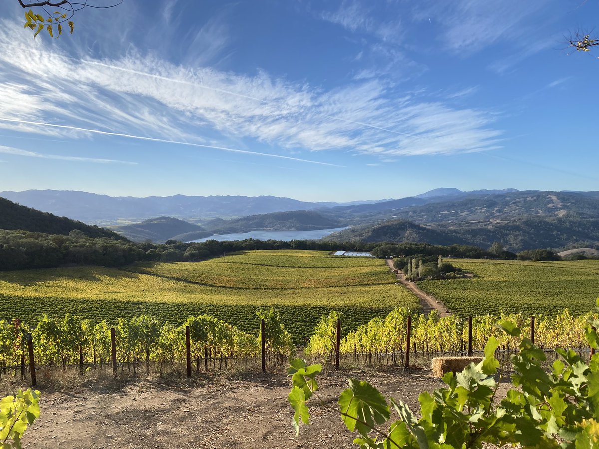 Happy to be at my family Home on Pritchard Hill!!
#chappellet #pritchardhill #chappelletwinery