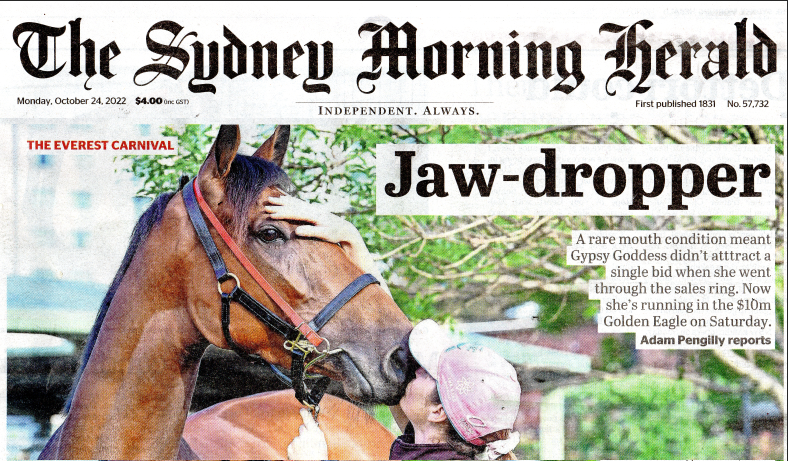 hot_dipper's tweet photo. I look forward to the eventual ban on gambling ads because that will not only make watching TV more pleasurable, but also get rid of those infuriating wrap-around advertisements on newspapers disguised as news! #AusPol #NSWPol #media #noGamblingAds https://t.co/kMO6Dfb7xw