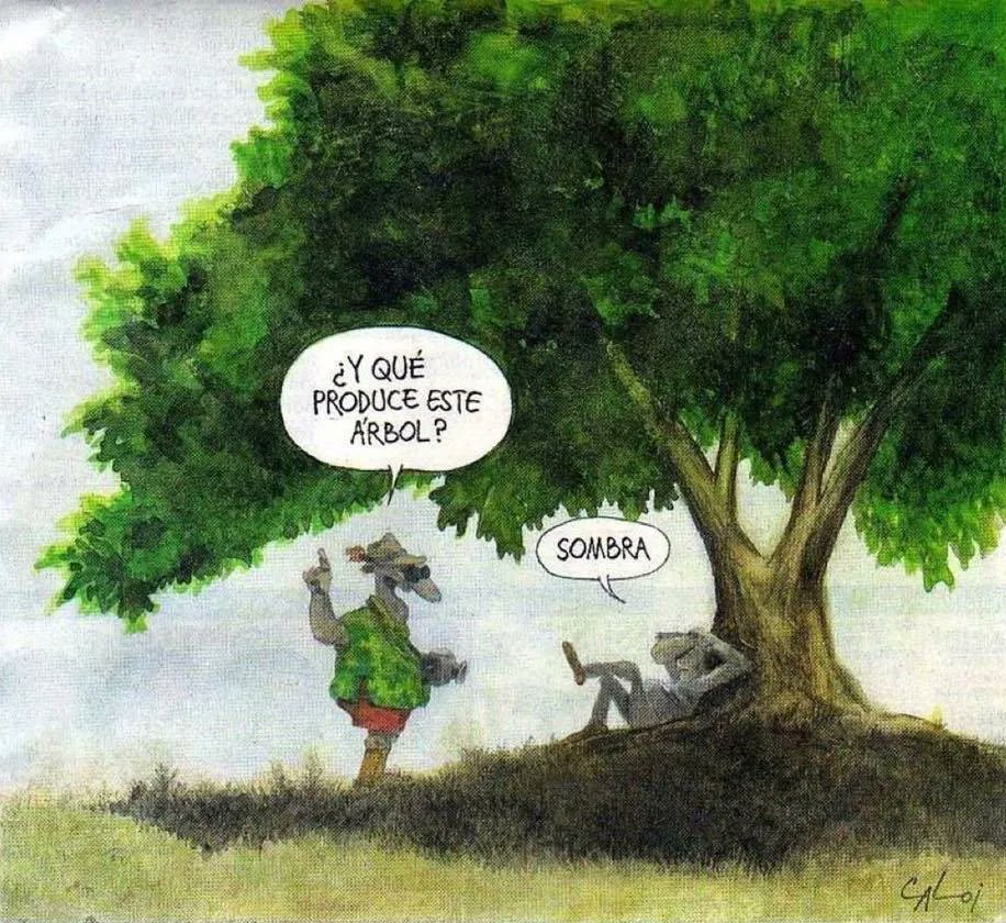 EcoInventos's tweet photo. ¿Y qué produce este árbol? 🌳 https://t.co/R8WJudjVG1