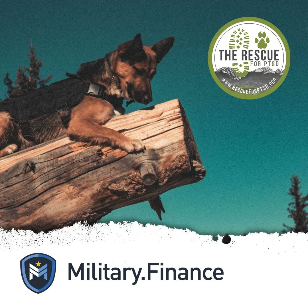 The Rescue trains rescue and shelter dogs to work as psychiatric service dog partners for veterans suffering from PTSD, with the goal of aiding in the restoration of their emotional and physical independence.  

buff.ly/3CuUHAN 

#America #USA #Patriot #militaryfinance