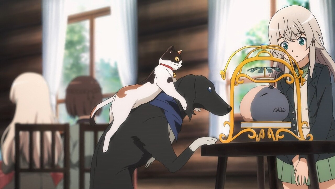土と油 ボルゾイという犬を生で見た印象 横向いてる時 大きな犬だなあ こっち向いて歩いて来た時 薄い まるでかまぼこ板 のようだ 失礼な びわ湖わんわん王国なんかもそうだが 犬猫動物園が全国的に流行した時があってその時に見た ボルゾイ