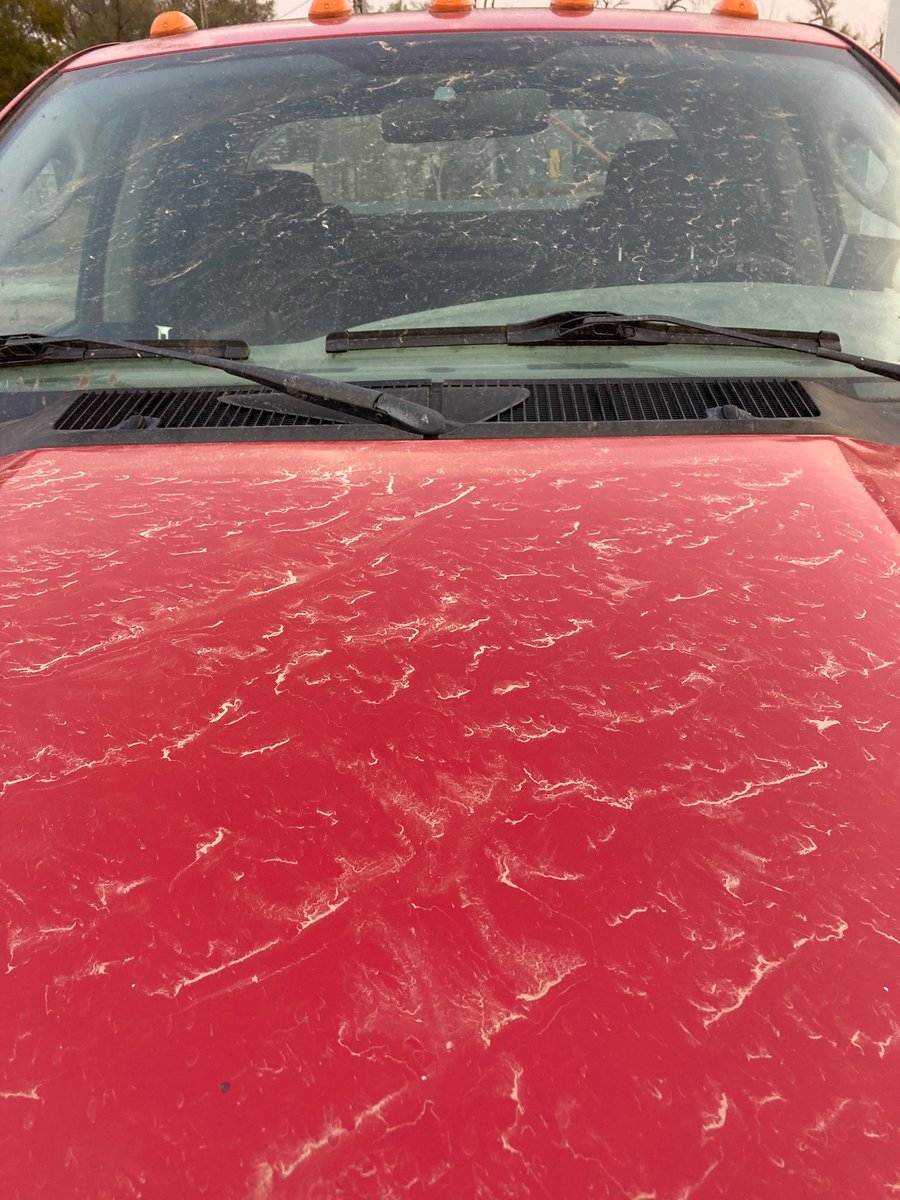 KSUNCKEF's tweet photo. That awkward moment when…

Rain shower leaves your truck dirtier than it was.

Would take a real rain, harvest can wait a bit https://t.co/TS0jwadOaW