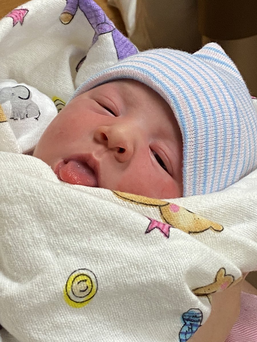 Toby Pearcy tweet media