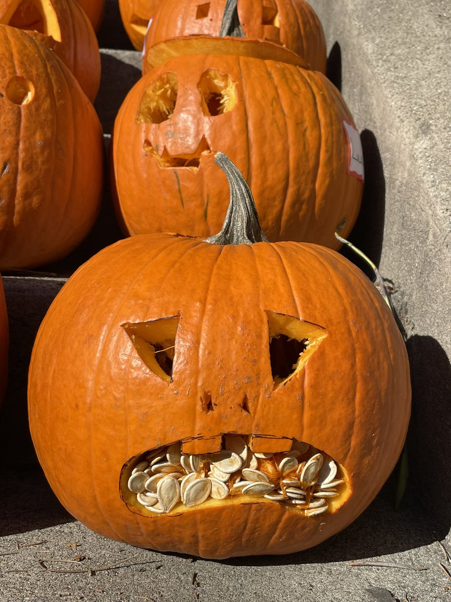 SlowHearst's tweet photo. Pumpkins go so well with ice cream 🎃🍨🎃

Thank you @SmittenIceCream and @AllOutSF @Sunnyside_Assoc for helping to make our Pumpkin Carving and Ice Cream Social such a success 

#SFIceCreamSundays #AllOutSF #ShineOnSF https://t.co/PcurAEuEnL