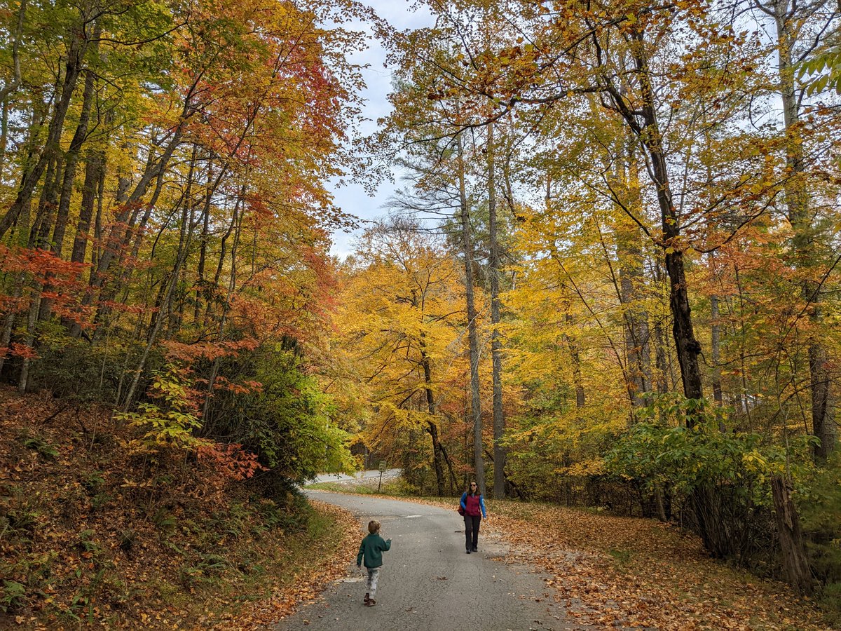 Alexis Grant tweet media