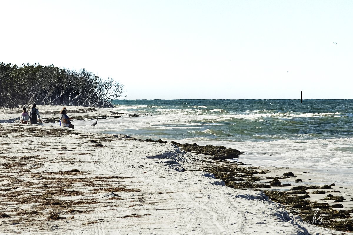 studios_karl's tweet photo. "Looking Out To Sea From A Sandy Beach" - So many stories come to the shore

For richer colors and detail visit my gallery site, https://t.co/1nARPwTd7Y

Nikon D7000 + Nikon DX 18-200

#beach #landscapephotography #scenic #ocean https://t.co/UmNqkvDQrg