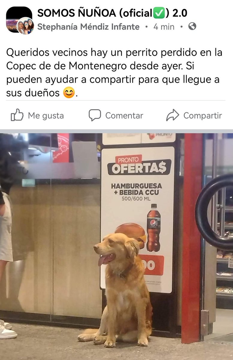 No tenemos más info!! Si alguien lo conoce esta en la comuna de Ñuñoa copec de la calle Montenegro 🙏🐕
#Ñuñoa