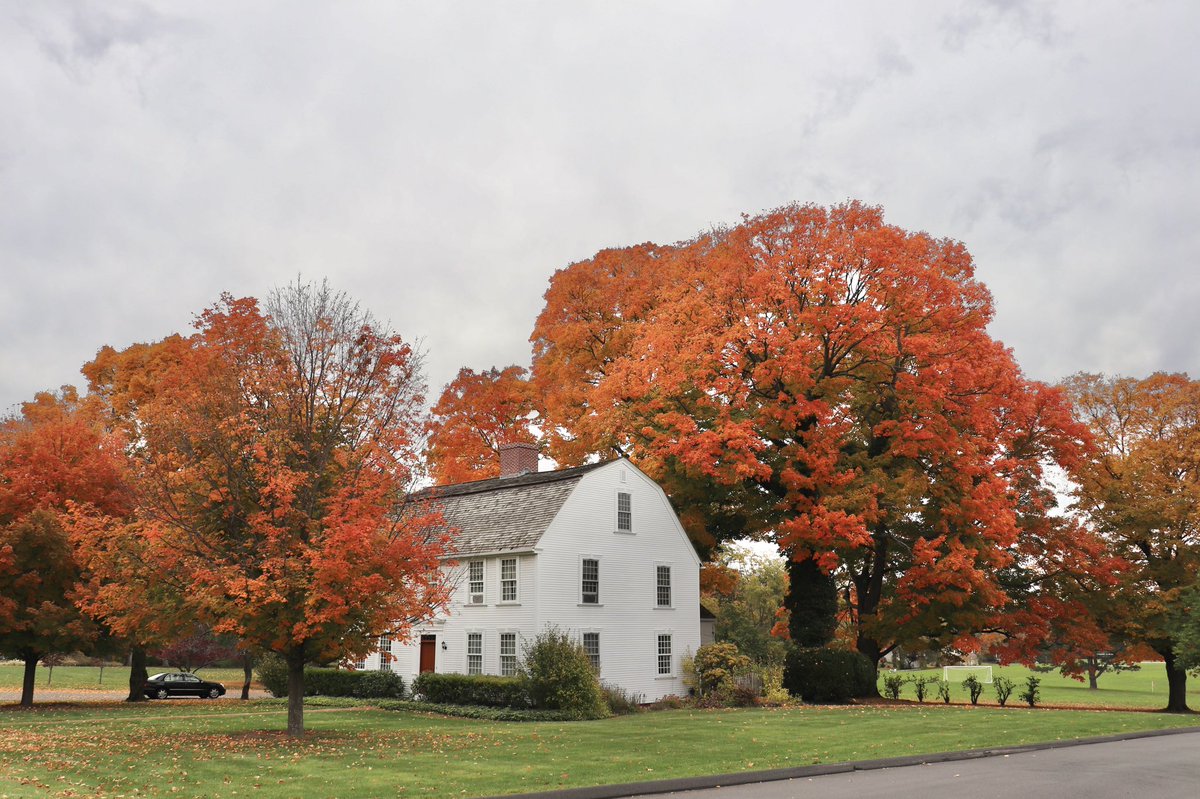 lynnsferrazza1's tweet photo. #SuffieldCt all dressed up for #fall https://t.co/p5RAWL7zc5