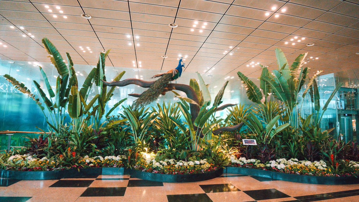 Changi Airport on Twitter "Happy Deepavali to all of our Hindu and