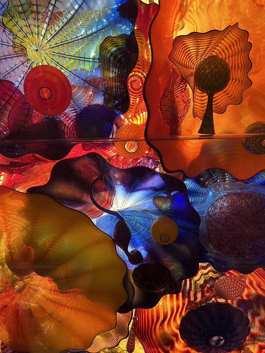 Victoria Shaffer tweet media