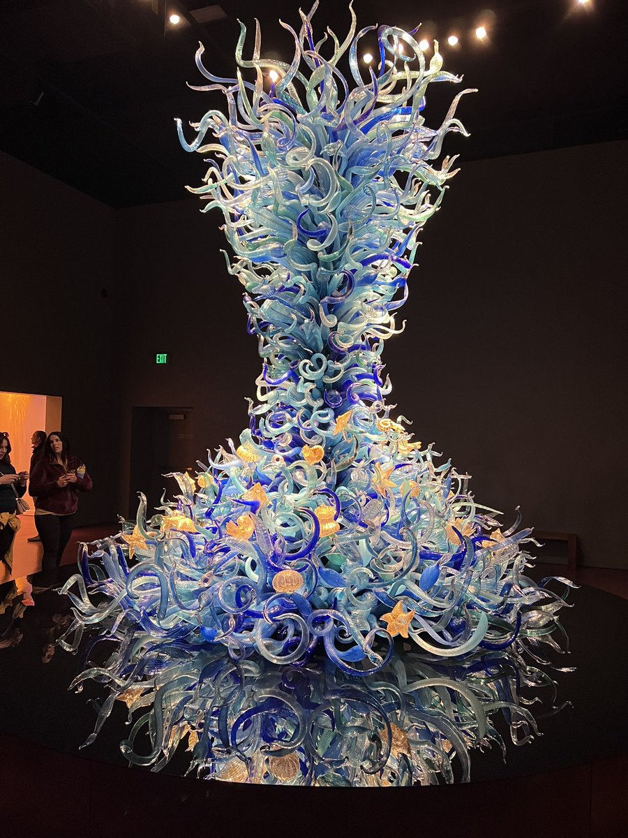 Victoria Shaffer tweet media