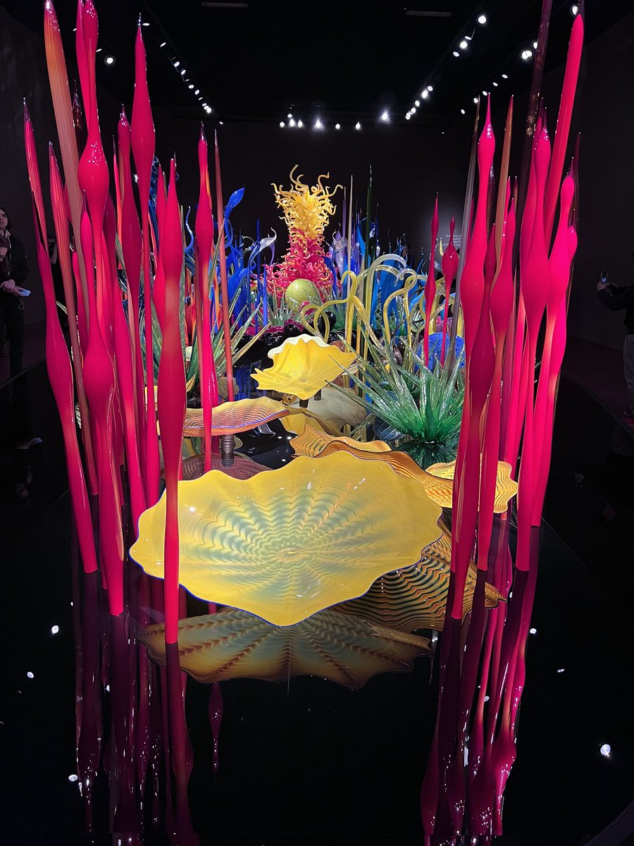 Victoria Shaffer tweet media