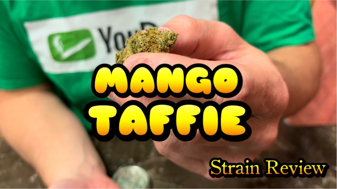 Full review now available on my YouTube channel!