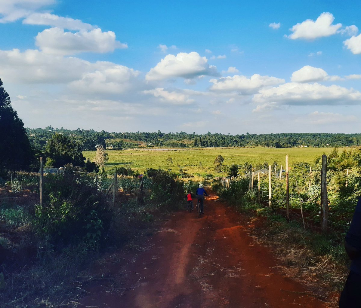 dnahinga's tweet image. In theory, you don't need a lot of land. Maybe he is enjoying the neighbouring plot.

Why is everyone forgetting the owner has legs? #3MinuteRule 

The landscape is not owned, and the walker enjoys comparative freedom.

- Henry David Thoreau, Essayist.