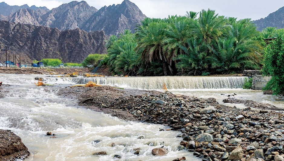 natureabudhabi's tweet photo. @Soul_Art8 https://t.co/wf02T4mOh1