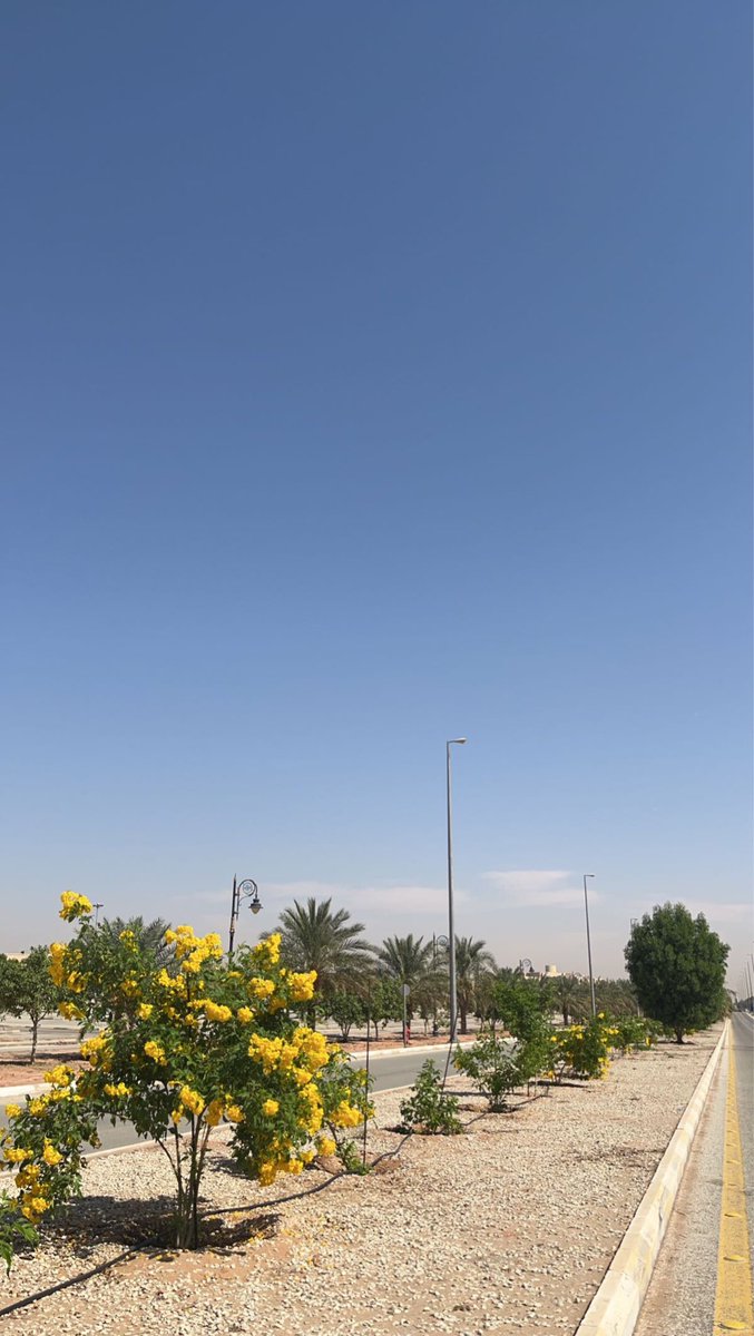 f43an's tweet photo. ماحدٍ على عرش المحبة سبقها
ولا احدٍ مشاركها الغلا في وريدي

كانت حبيبة قلبي أللي عشقها
وراحت ولا زالت حبيبة قصيدي https://t.co/krZ830N5la