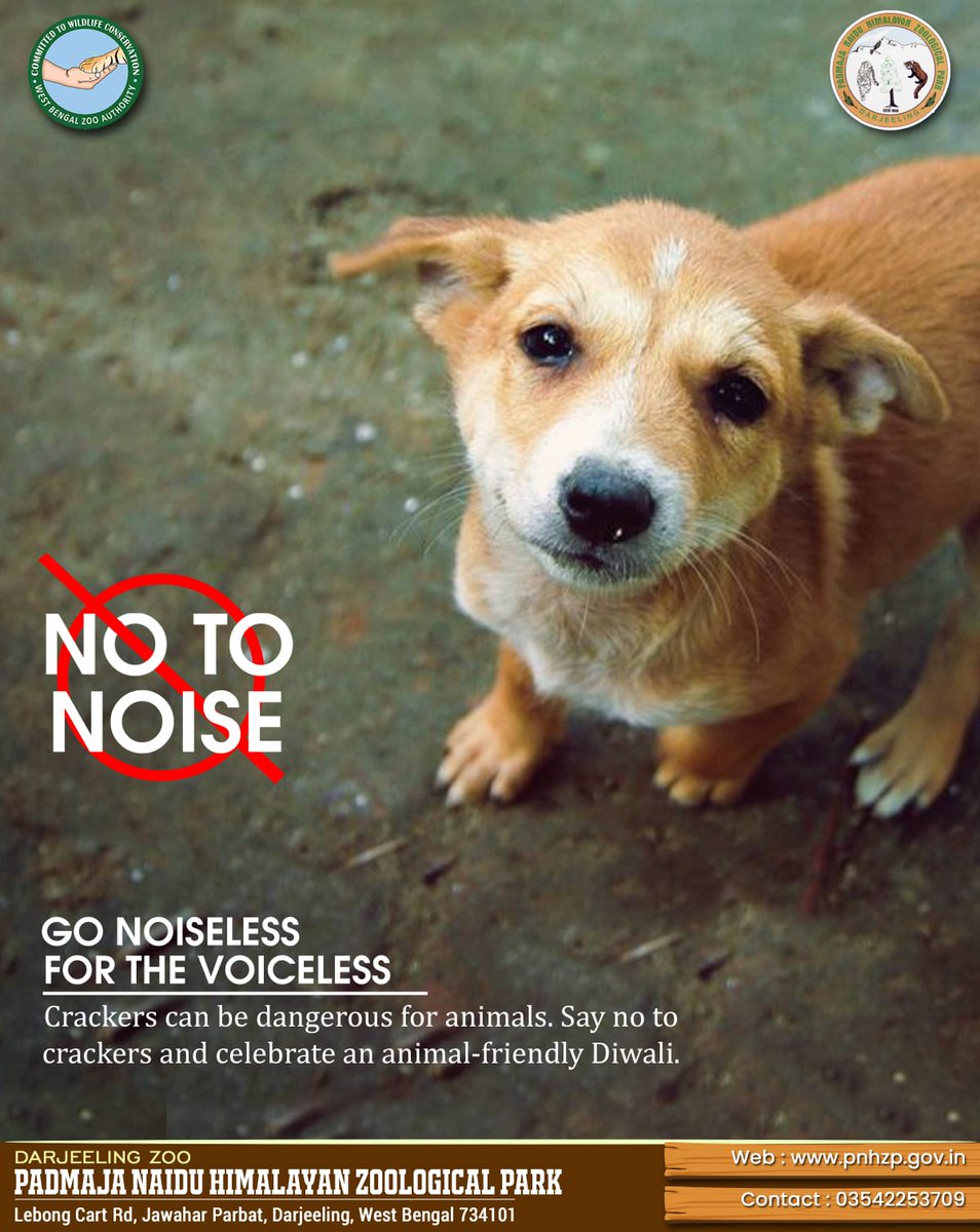 Darjeeling zoo's tweet - Darjeeling zoo's tweet -