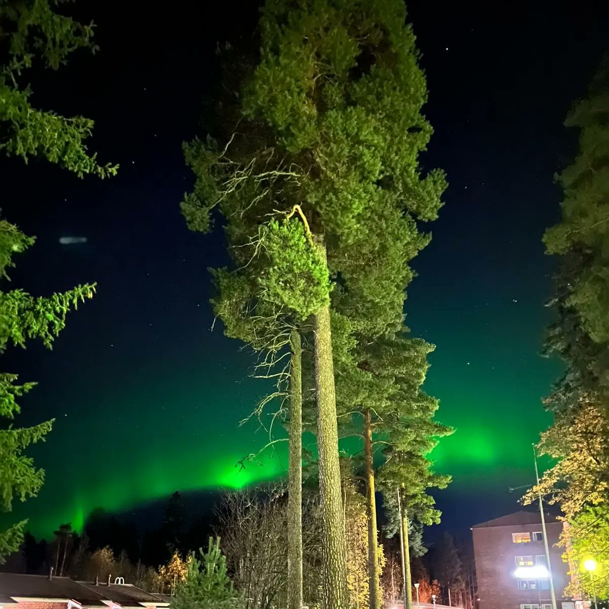 EXOLgreizy's tweet photo. My first aurora borealis. 😍 EXO, thank you for inspiring me to work hard. I love you @weareoneEXO 😍🫶🏼.

#EXOCOMEBACKOT9 #EXOCOMEBACK #EXO #EXOL https://t.co/jn8rEkZWrd