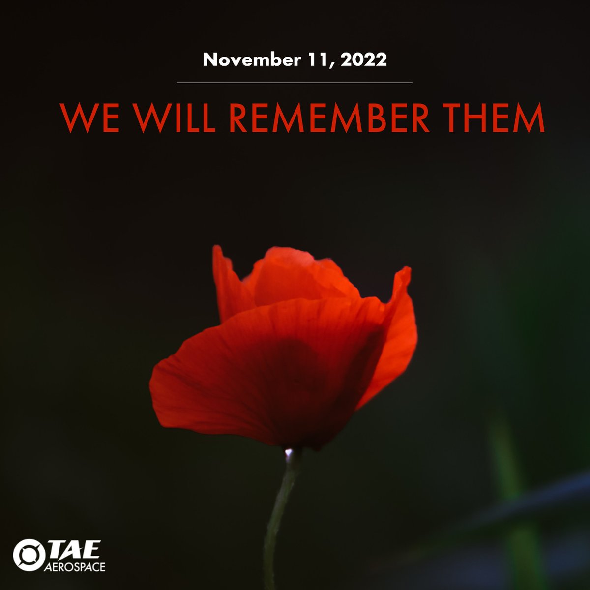 The Flanders poppy has long been a part of Remembrance Day, with the flower accepted throughout the allied nations as a reminder of #hope. 

Today, and all days, #WeRememberThem.

#RemembranceDay #ArmisticeDay #InFlandersField