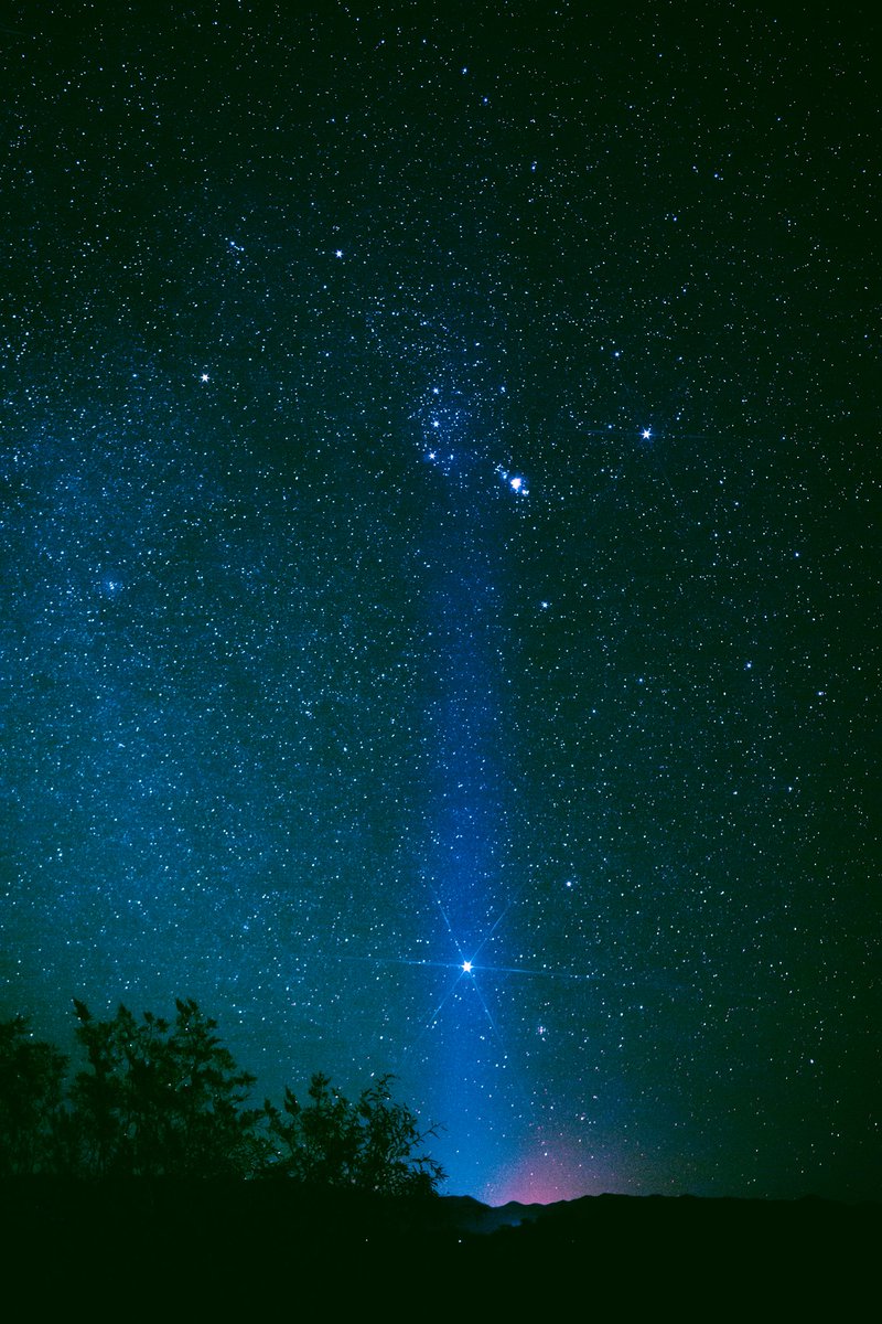 RonnyJames24's tweet photo. Winter circle.
#wintercircle #Orion #astrophotography #35mm #stars https://t.co/bgnroKO3Pj