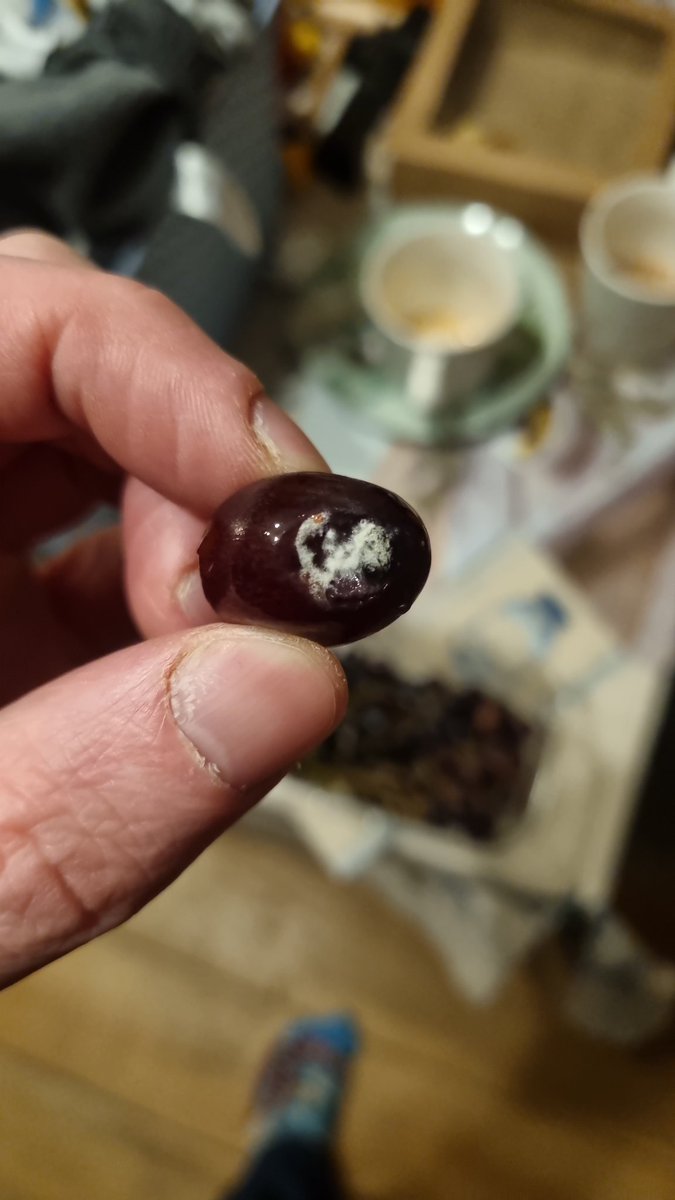 HorsfieldStuart's tweet photo. @asda 2 brand new punnets bought today and both with mouldy grapes! https://t.co/OduQxmdPZJ