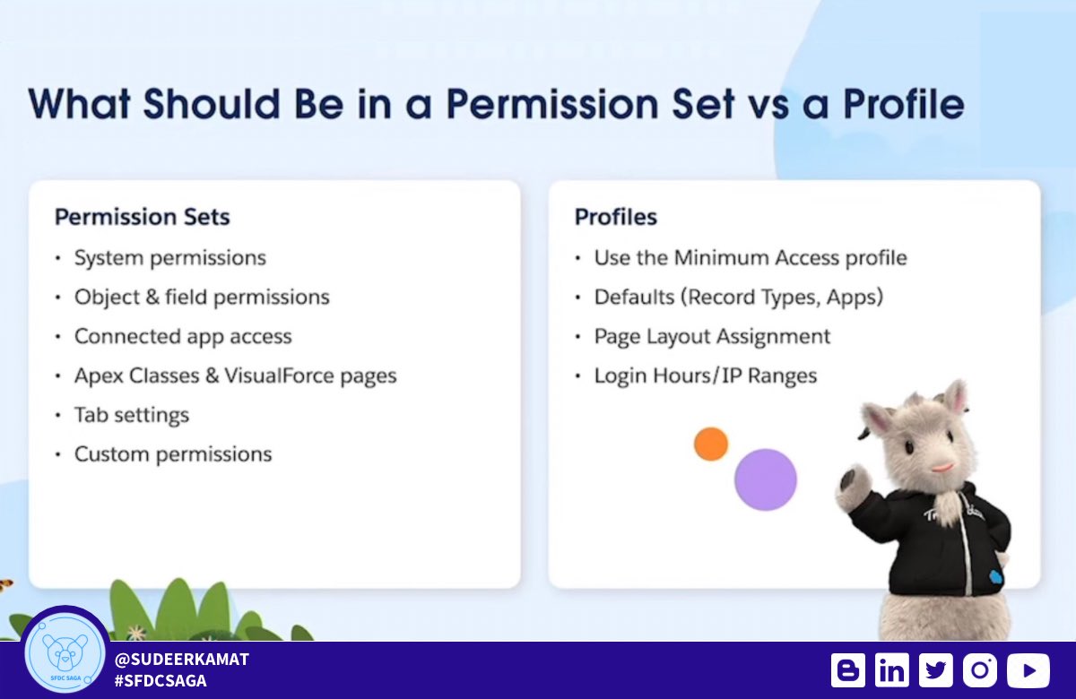 What Should Be in a Permission Set vs a Profile! #salesforce #sfdcsaga