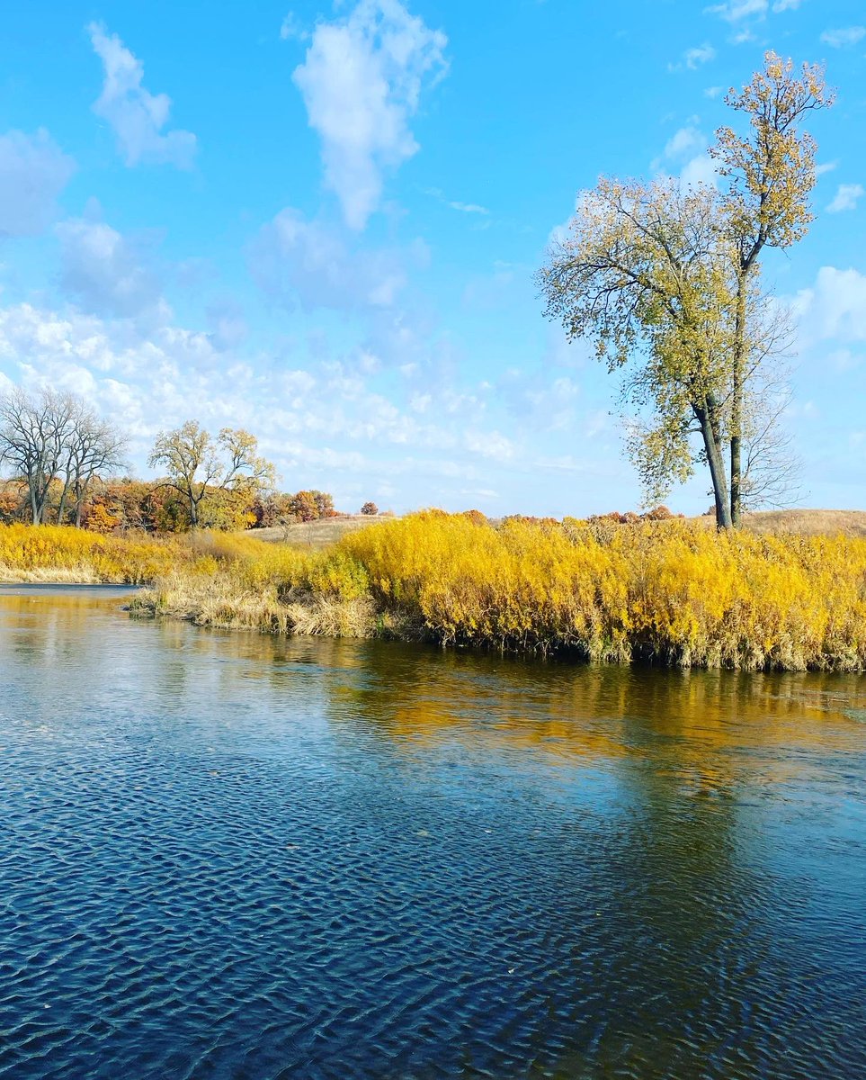 OilersMom's tweet image. 