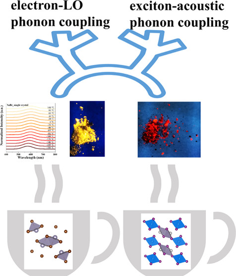 bhkenlo's tweet photo. Growth of SnX2 (X = Br, I) Single Crystals with Self-Trapped Exciton Emission https://t.co/iSBxTzVW4E Wang, Lian, Lin, and co-workers @InorgChem #tin #0D #SnX2 #self_trapped #exciton #STEs #emission #WLEDs #solvent #respiratory_analysis https://t.co/D8PtBY81sL