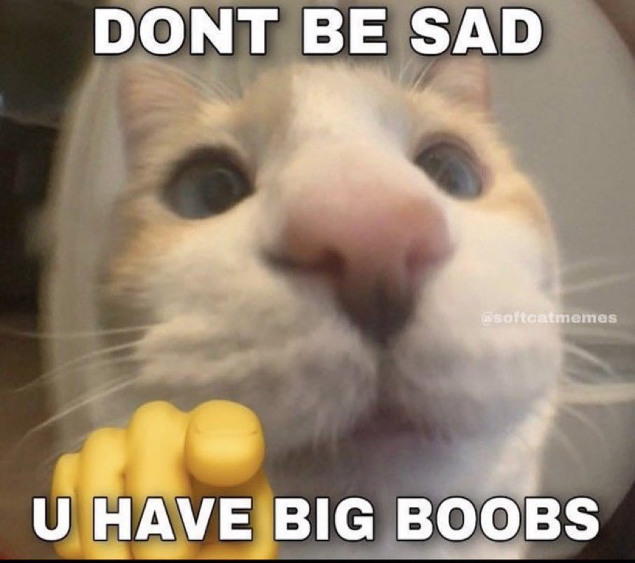 literallymecats's tweet photo. https://t.co/AgDH7qko8m
