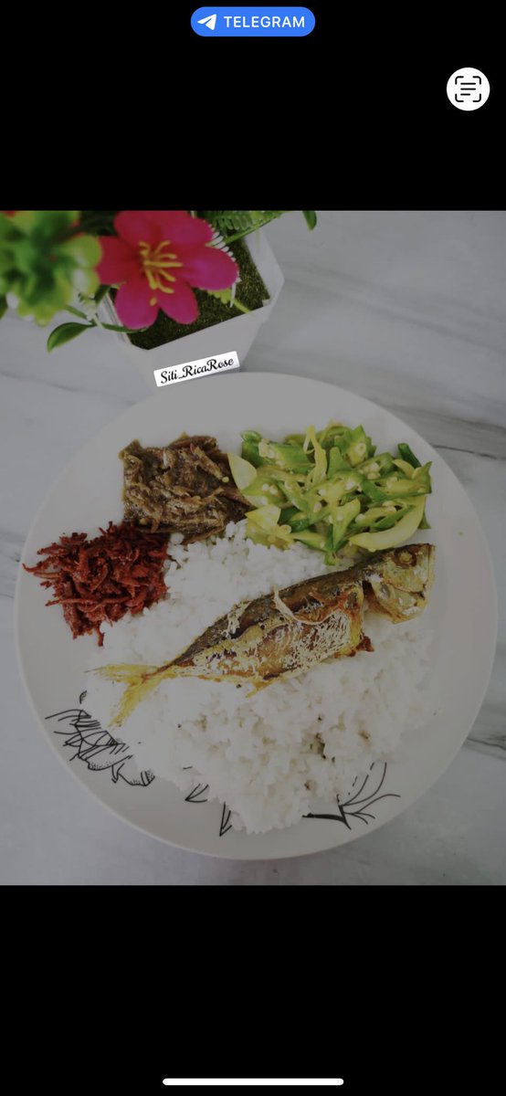 ItamCik's tweet image. Perghh dpt mkn hidangan macam ni pun daa terbaik sangat dh an

#sambalbilisgaring
#cabaihijaubilis