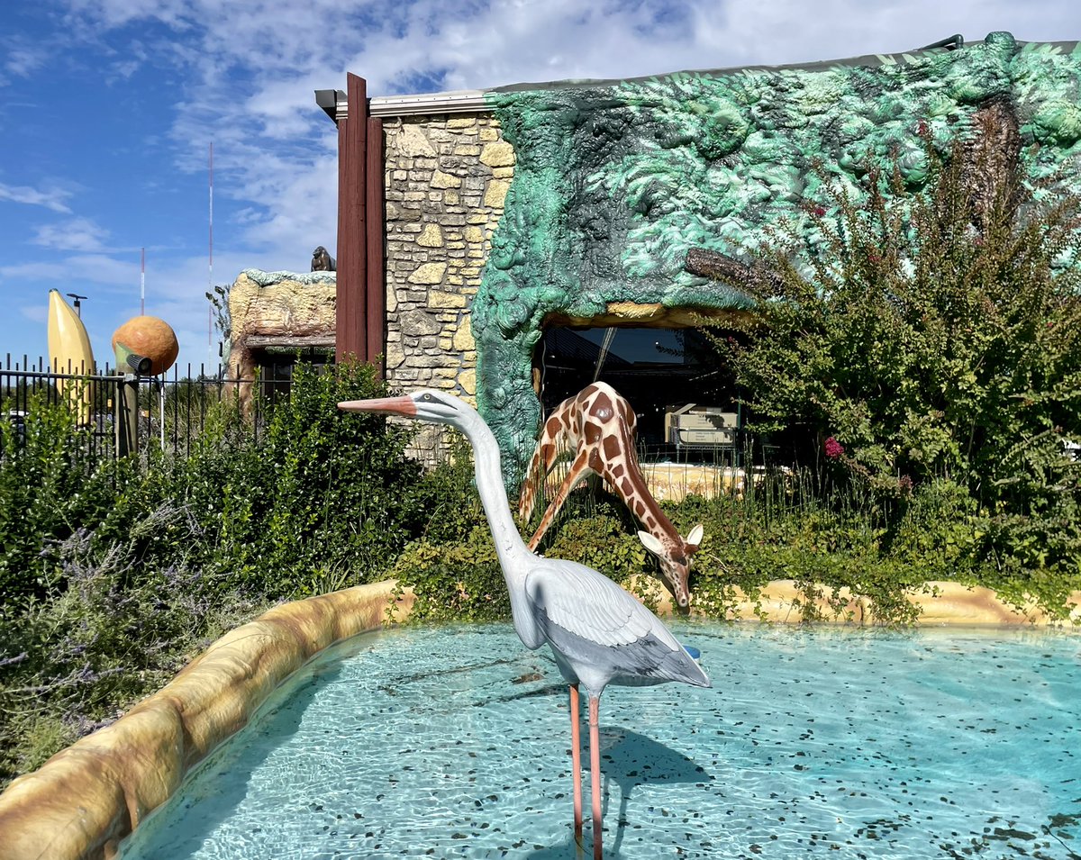 Midwest Modern tweet media