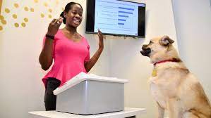 Public_Speaker_'s tweet photo. The only way to practice a speech is by presenting it, either alone or in front of a test audience.
Always practice a speech thoroughly - using the same volume, enthusiasm, movement, &amp; body language that you'll use in the actual delivery.
#PainlessPublicSpeaking 
#PublicSpeaking https://t.co/LvInwTOoYU