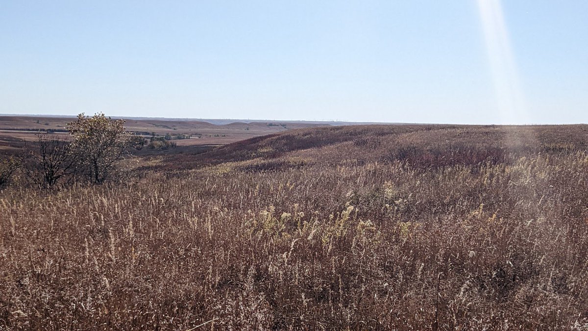 I was in Kansas this weekend, and I know you've been wondering how Kansas is right now. It's brown.